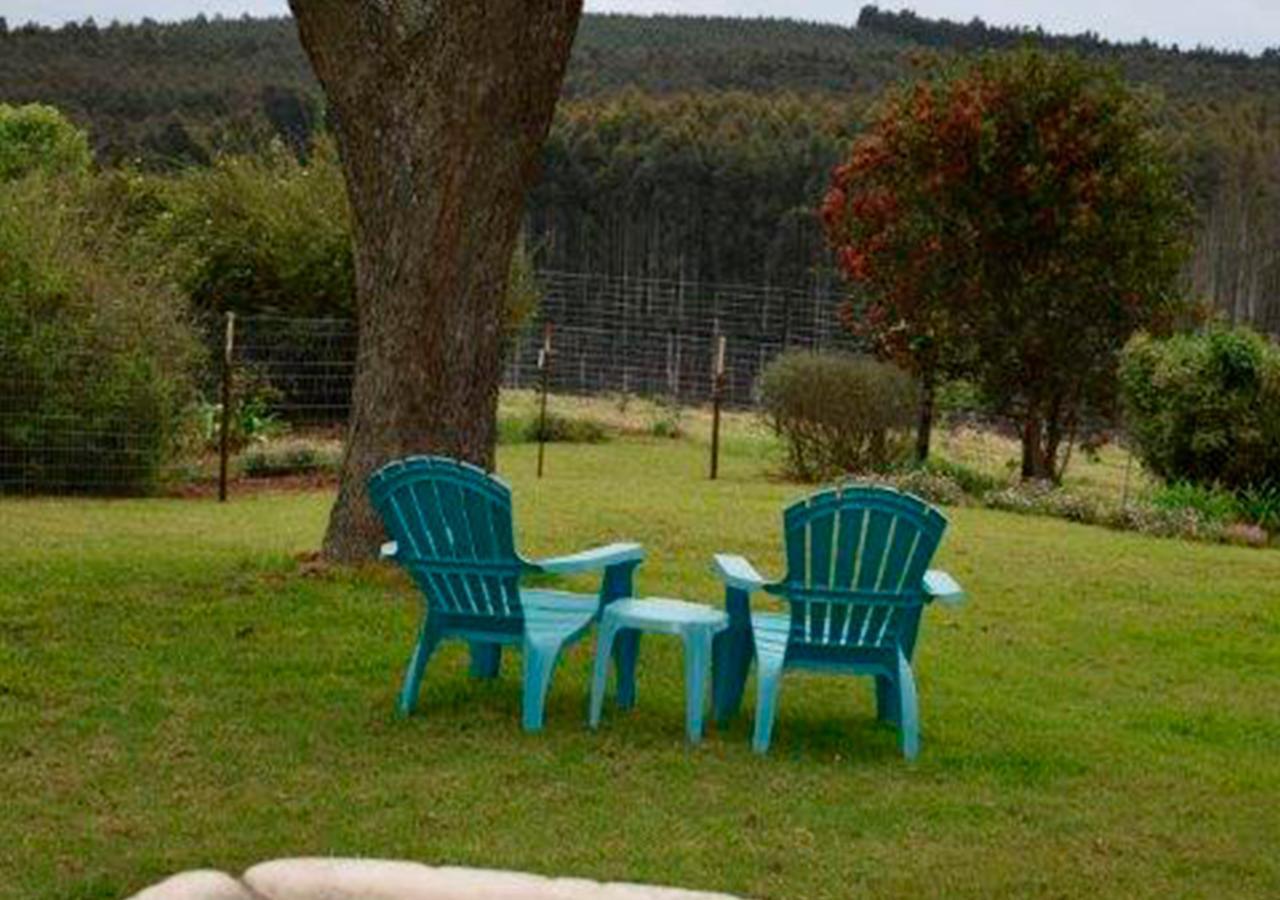 Amber Avenue Guesthouse Howick Eksteriør bilde