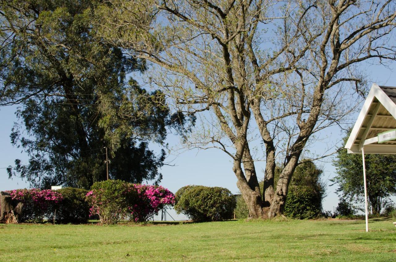 Amber Avenue Guesthouse Howick Eksteriør bilde